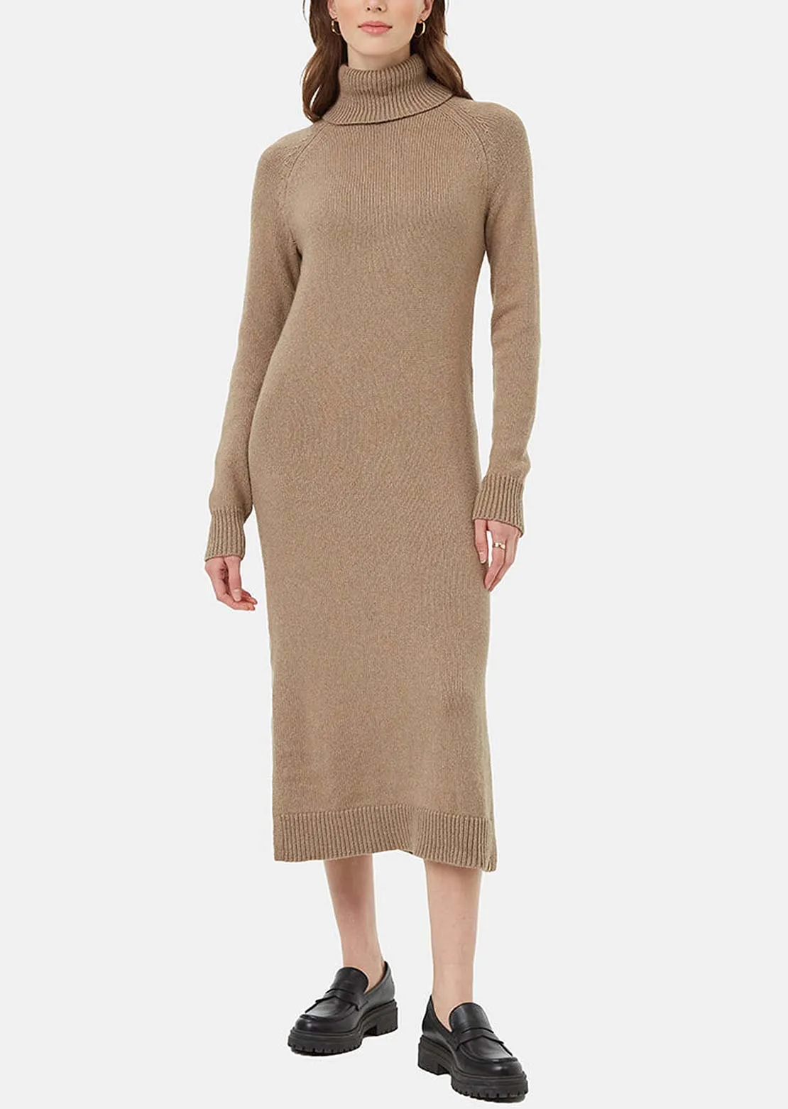 Tentree Women's Highline Turtleneck Maxi Dress