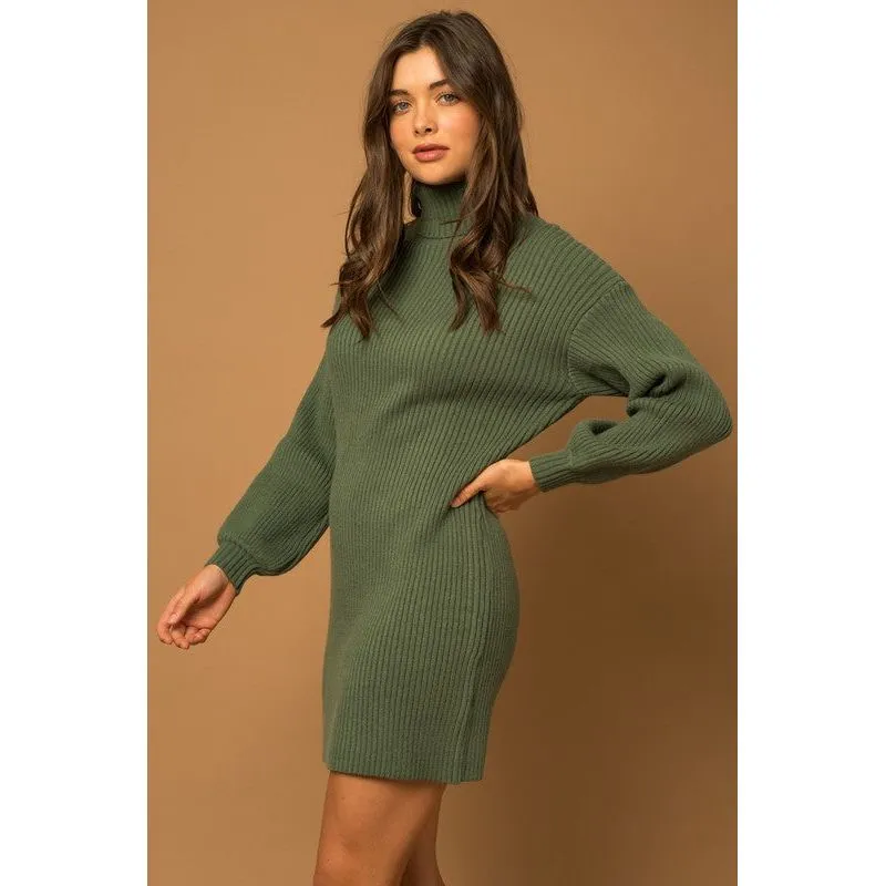 Turtle Neck Balloon Sleeve Sweater Dress