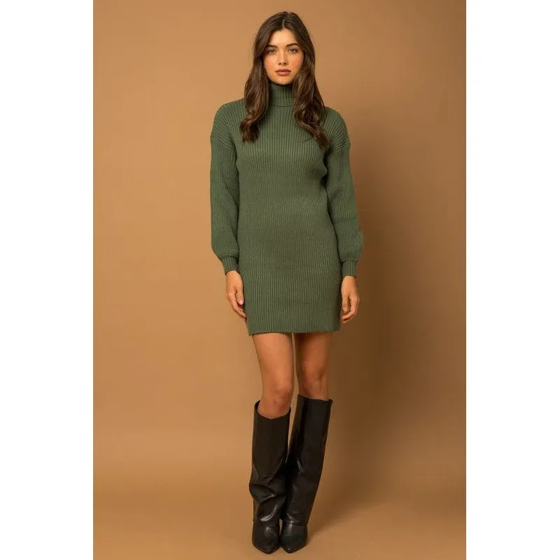 Turtle Neck Balloon Sleeve Sweater Dress