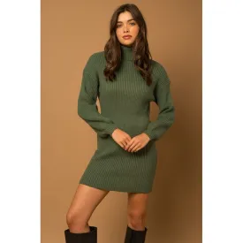Turtle Neck Balloon Sleeve Sweater Dress