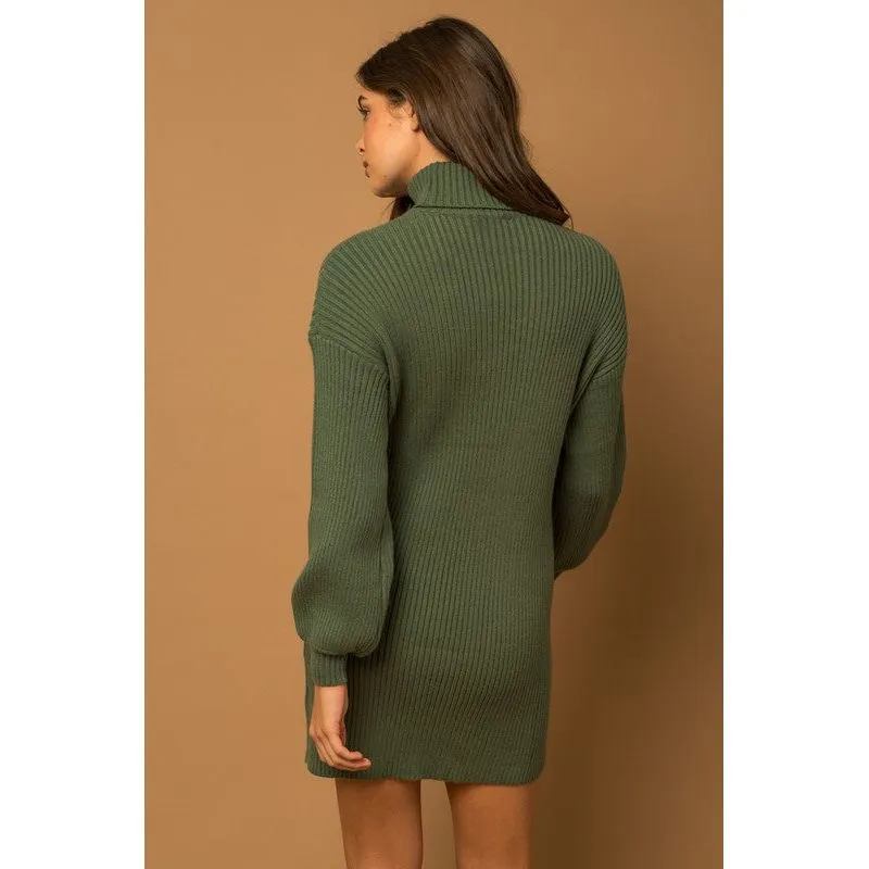 Turtle Neck Balloon Sleeve Sweater Dress