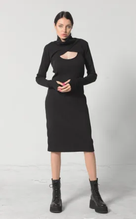 Turtle Neck Dress